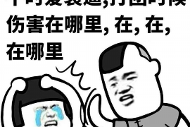 北票北票的要账公司在催收过程中的策略和技巧有哪些？